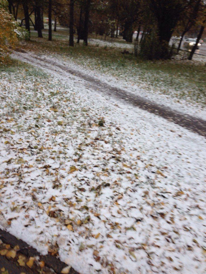 В Прокопьевске прошел первый снег: чего ждать от погоды в ближайшие дни