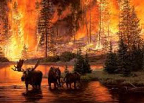 Эксперты подсчитали, сколько животных пострадало от лесных пожаров в Сибири