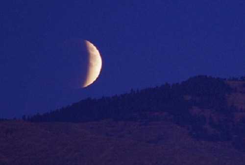 Прокопчане смогут наблюдать полутеневое затмение луны