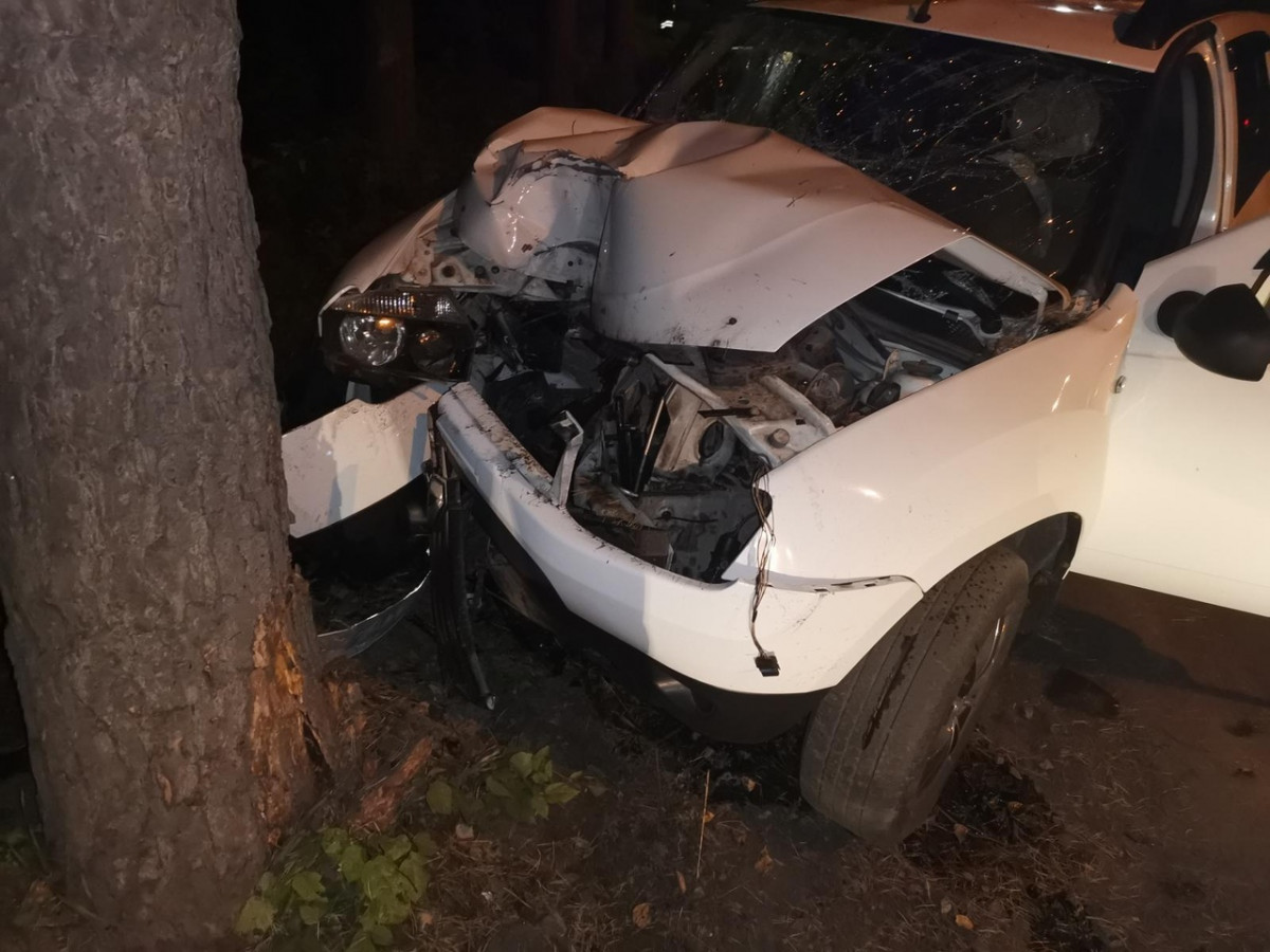 В Прокопьевске автолюбитель протаранил дерево