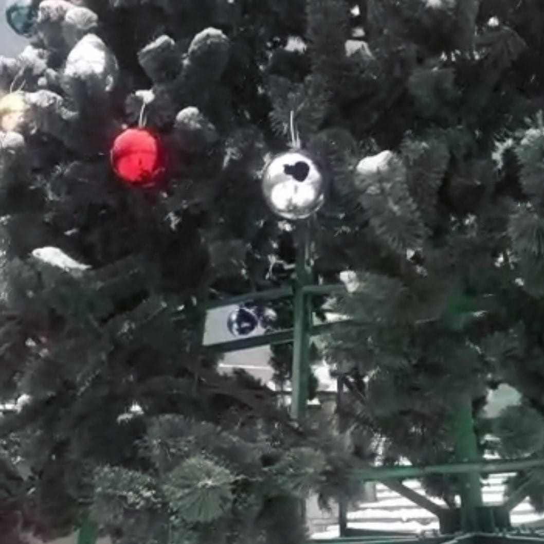На площади Победы хулиганы испортили наряд новогодней ели