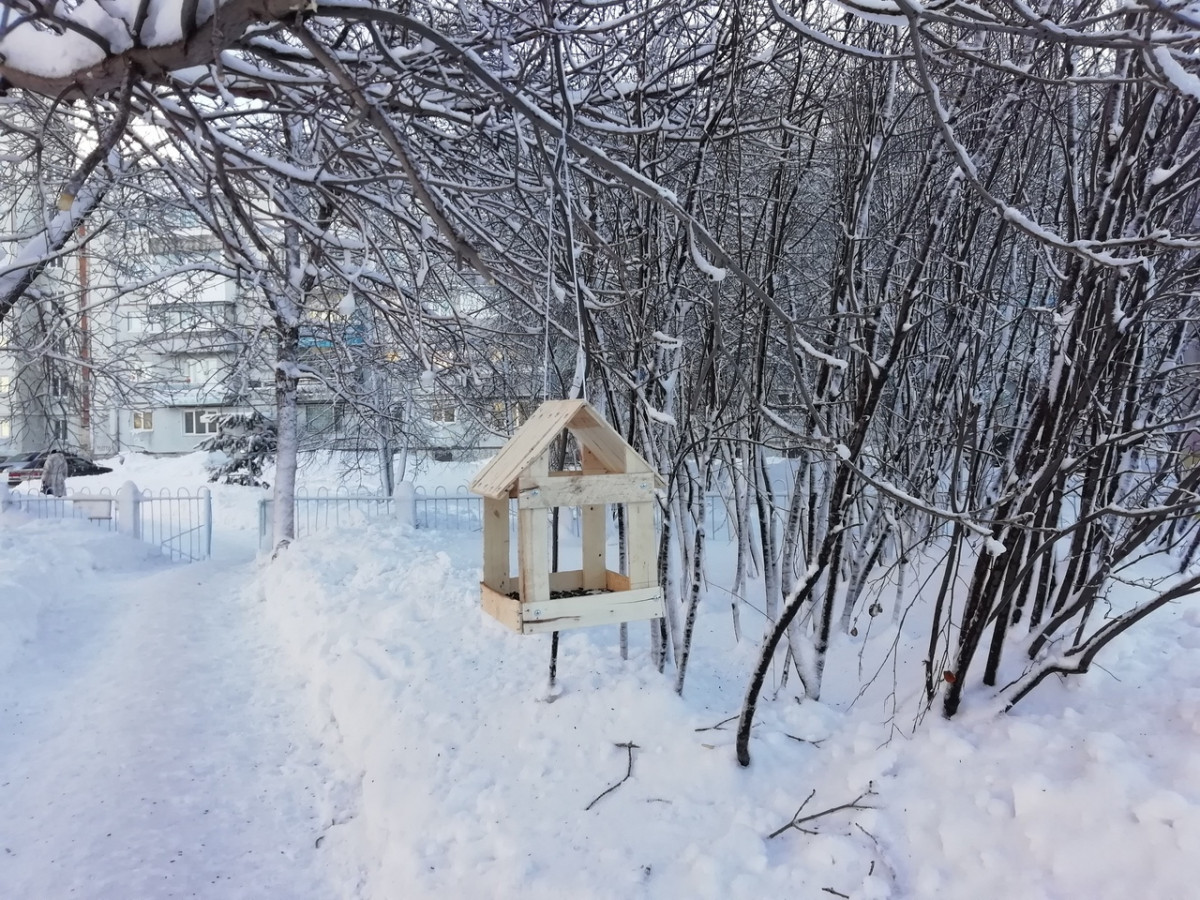 Синоптики: после небольшой оттепели на Кузбасс вновь опустится аномальный мороз