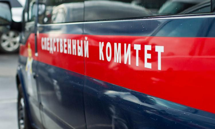 Житель Кузбасса пойдет под суд за развращение 242 девочек-подростков