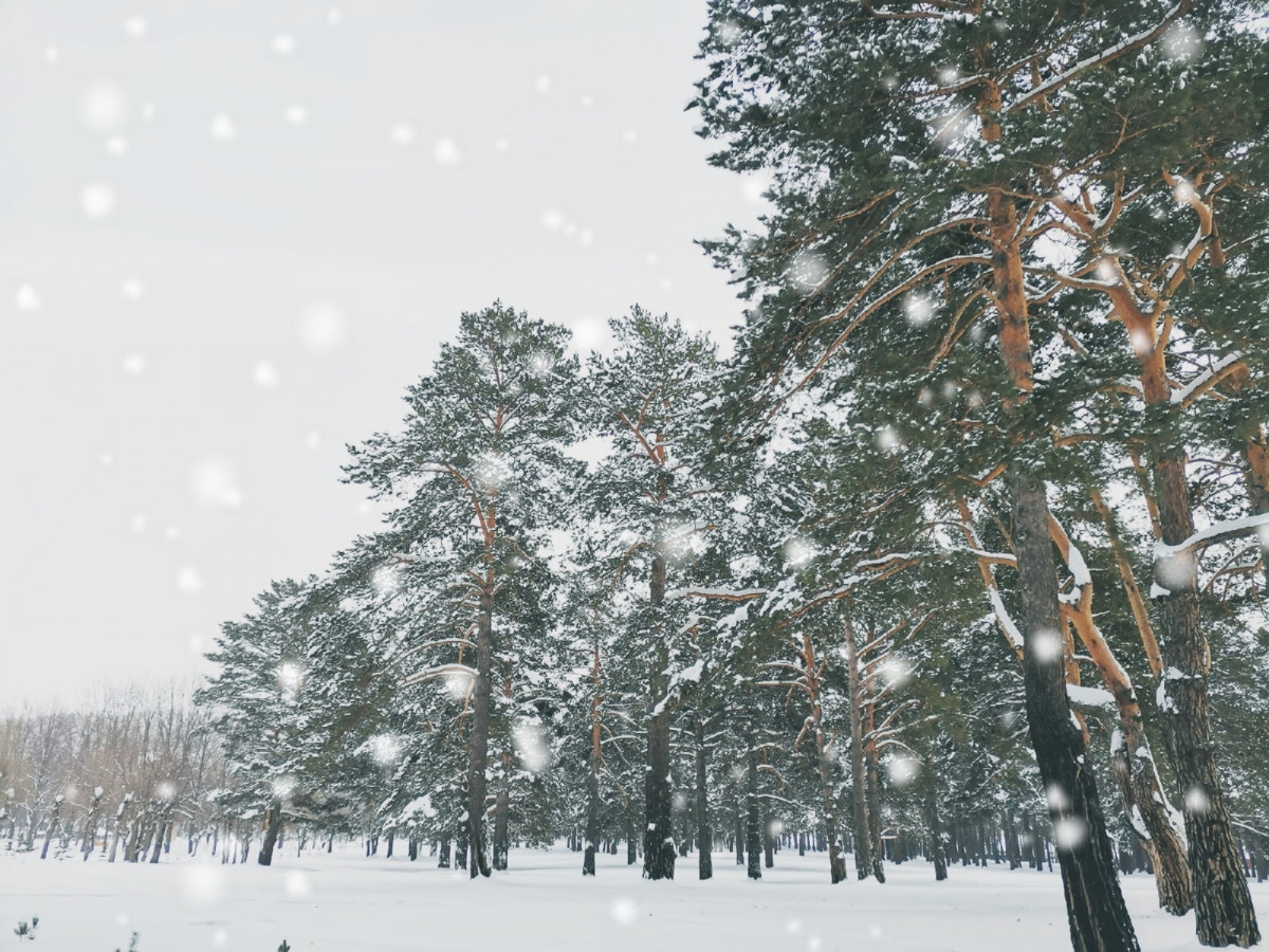 Синоптики: Кузбасс накроют снегопады