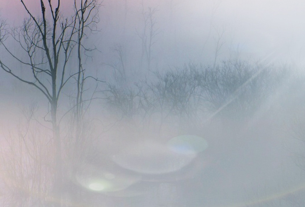 Синоптики: ожидается густой туман