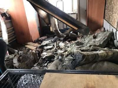 В Кузбассе произошел взрыв в приюте для бездомных животных