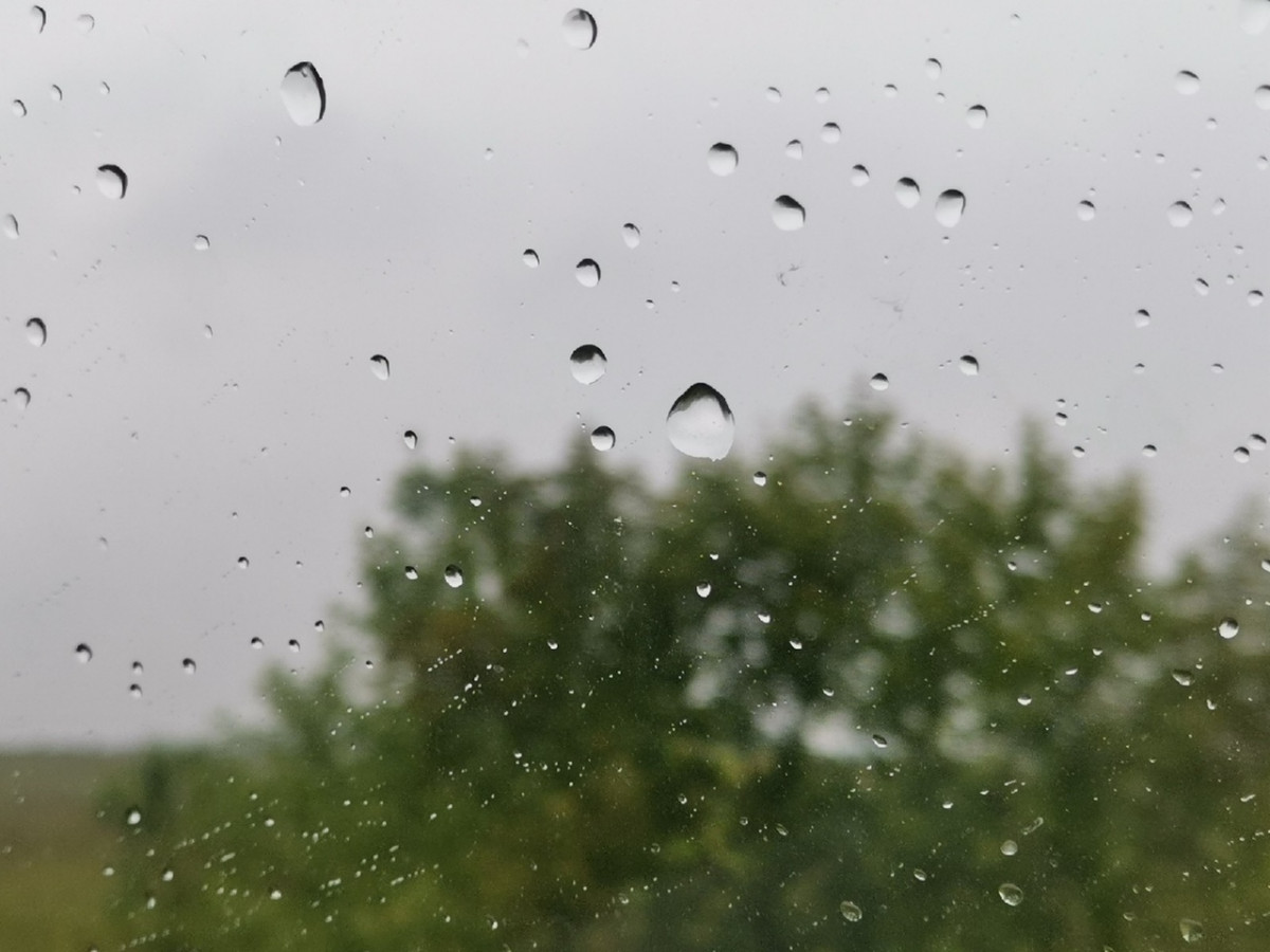 Синоптики предупреждают о сильных дождях и грозах