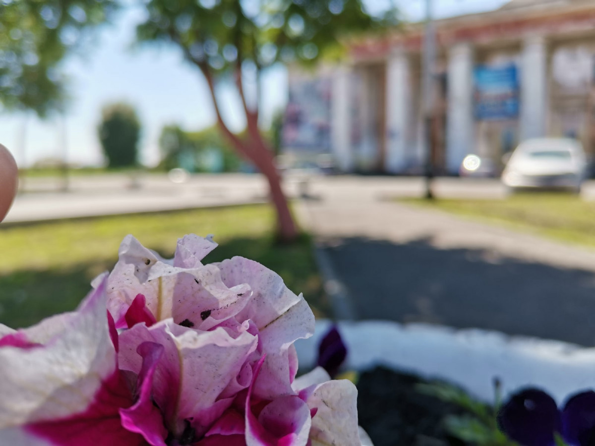 В честь 300-летия Кузбасса: В Прокопьевске состоится концерт и кинопоказ под открытым небом