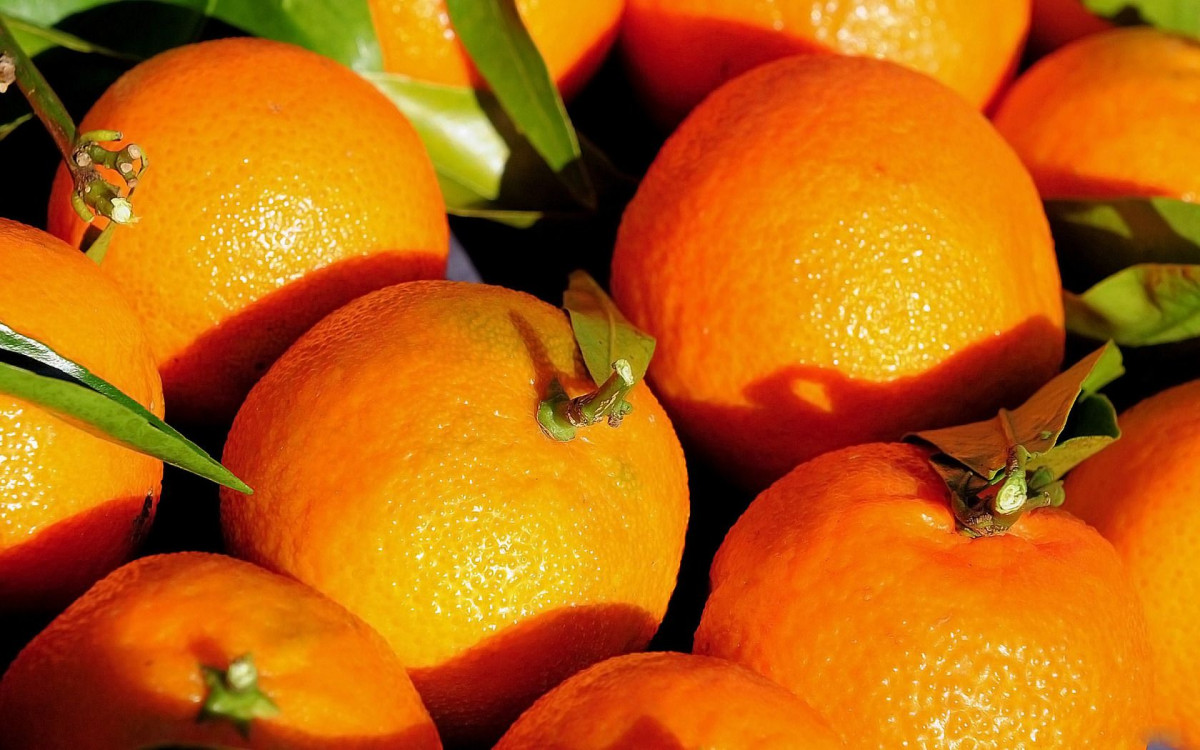 Эксперты рассказали, сколько будут стоить перед Новым годом мандарины и апельсины