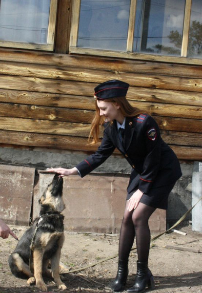 В Прокопьевске полицейские нашли и вернули хозяевам щенка Еву