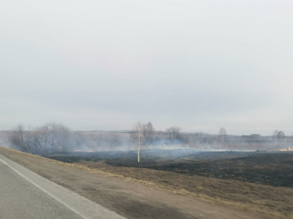 В Прокопьевске обострилась проблема с пожарами