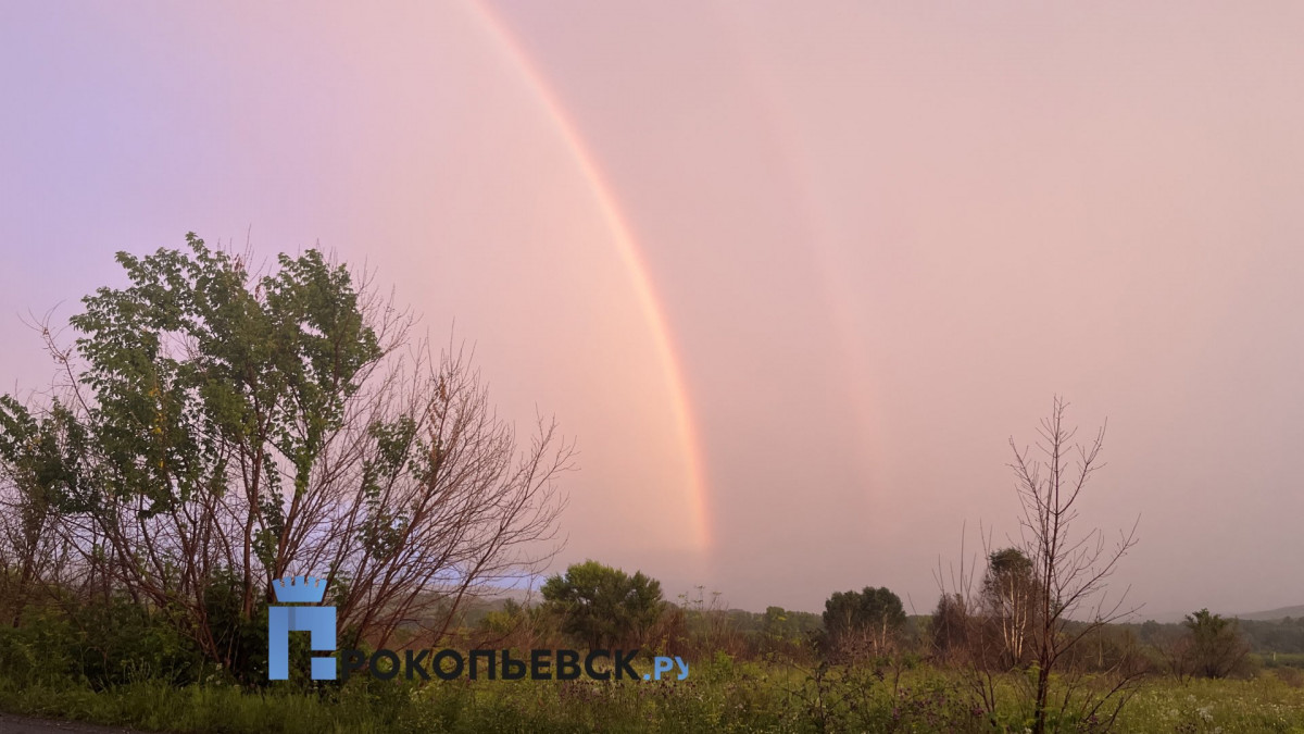 2 августа в Прокопьевске сохранится дождливая погода