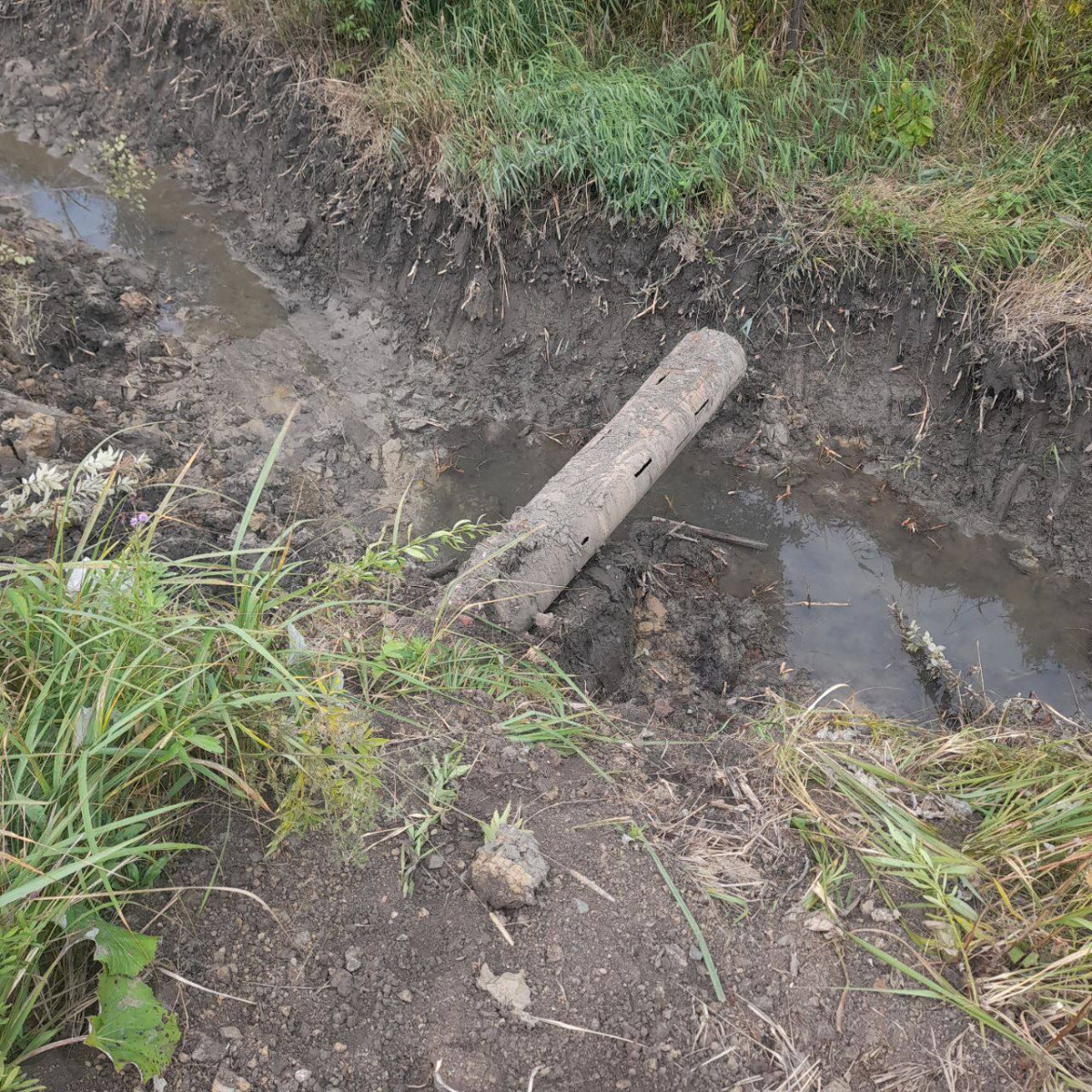 Соцсети: реку в Кузбассе загрязняют нечистоты из коттеджного посёлка