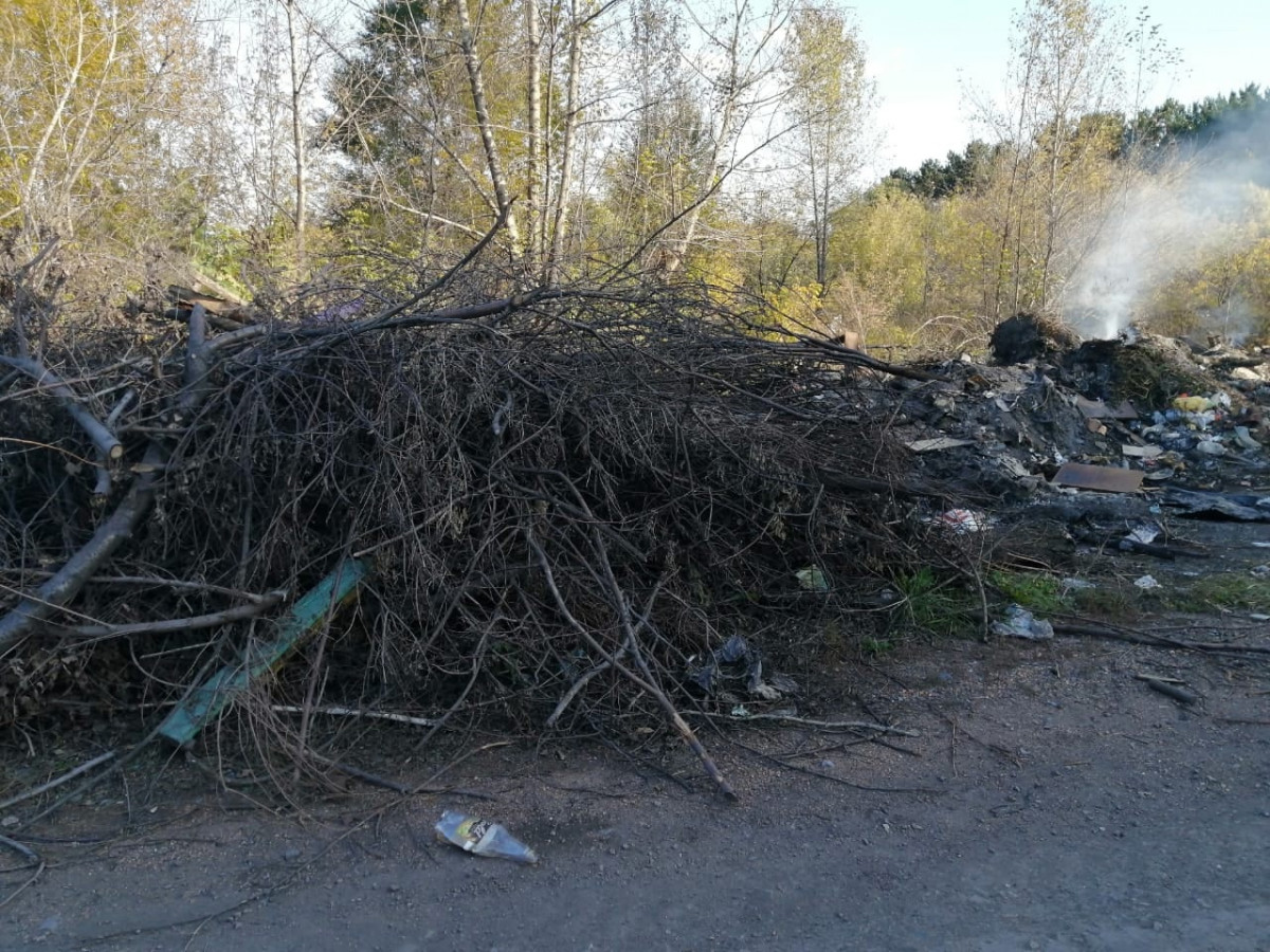 Лесной массив в Киселёвске превратился в свалку