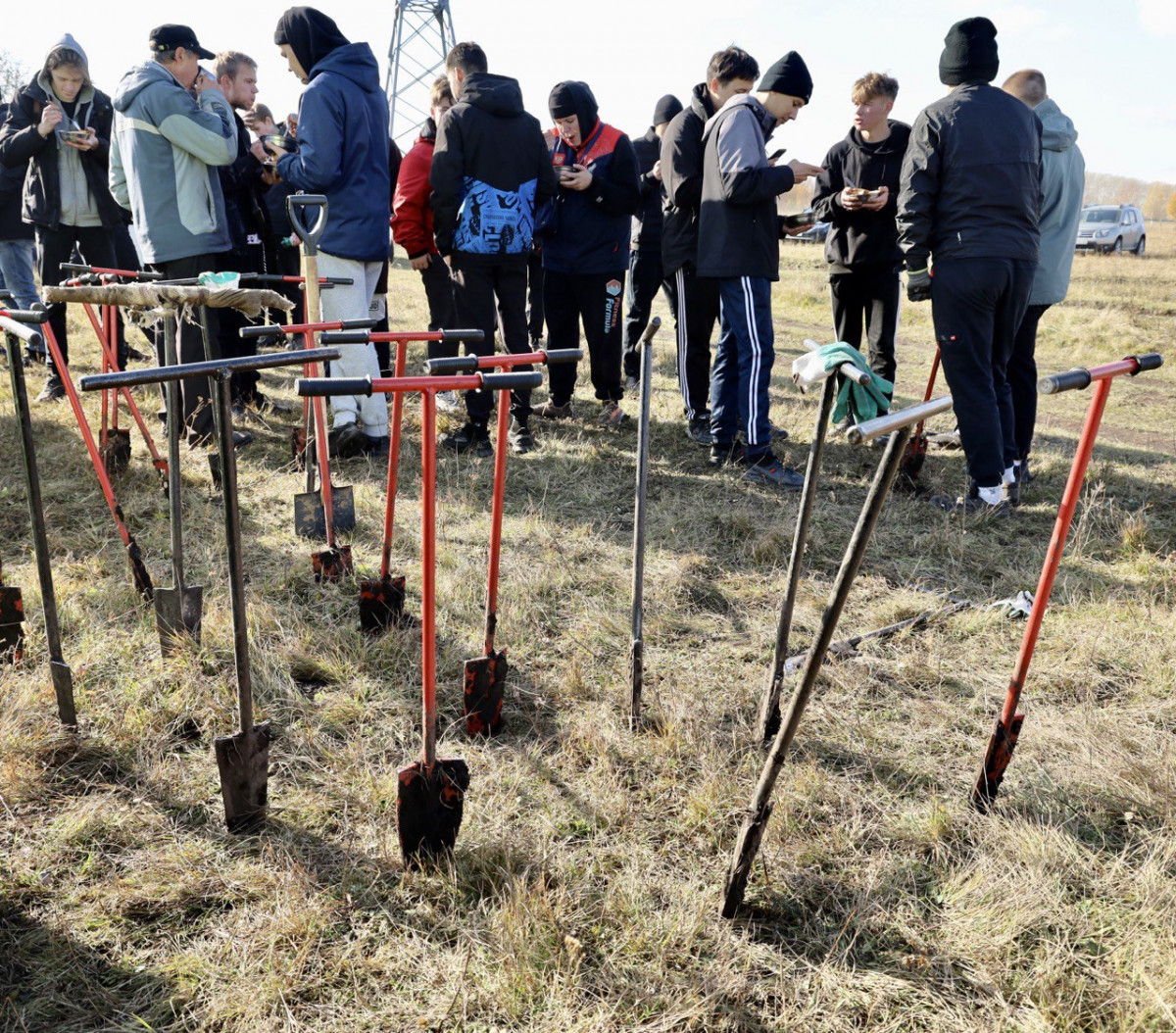 В Прокопьевске прошла масштабная экологическая акция по посадке деревьев