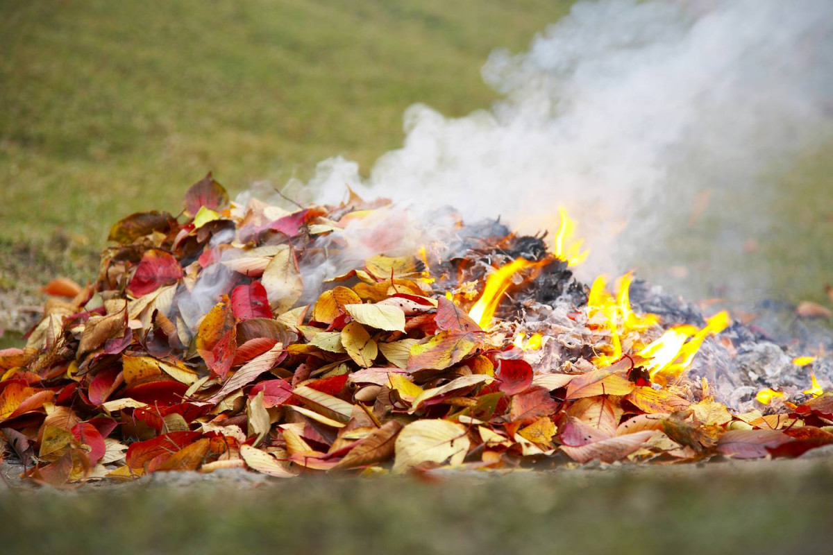Сжигать сухую листву во дворах запрещено