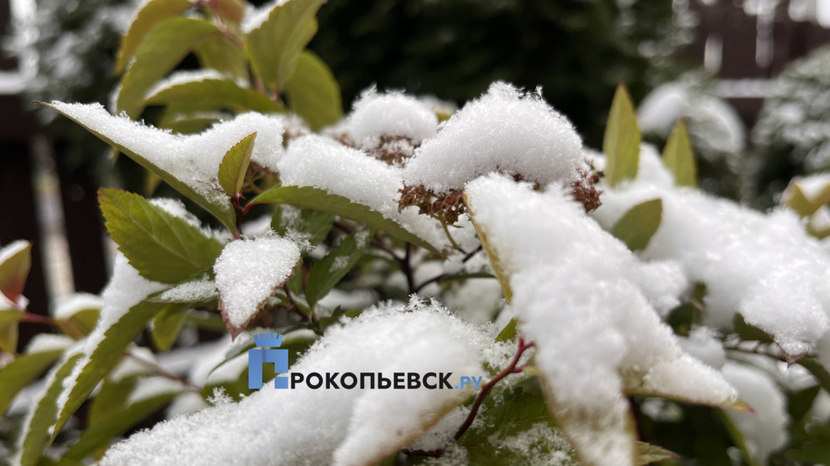 В понедельник погода в Кузбассе серьёзно изменится 