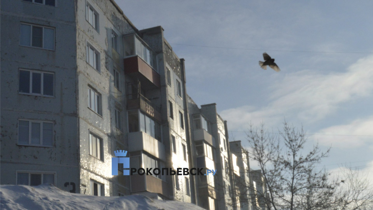 В среду в Прокопьевске пасмурно, возможен снег