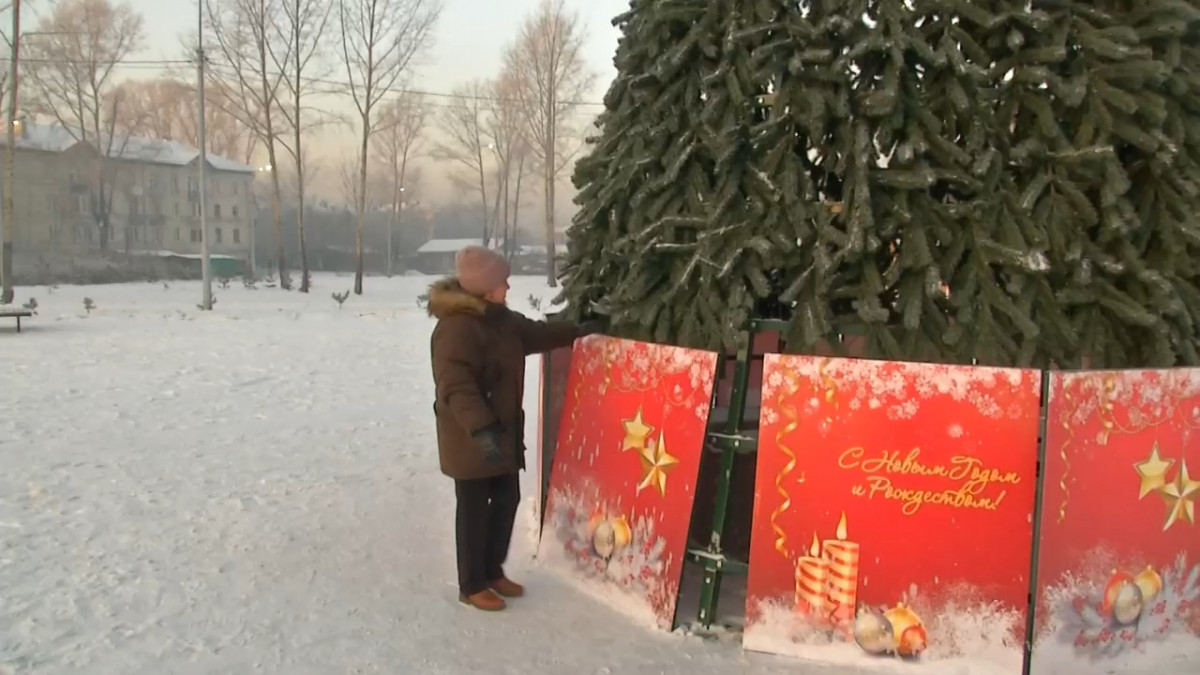 В Городском саду Киселёвска ощипали новогоднюю ель