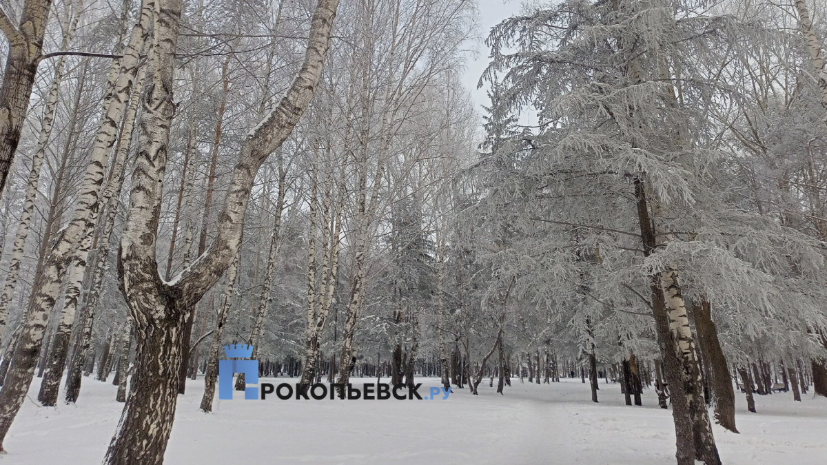 Во вторник в Прокопьевске резко потеплеет