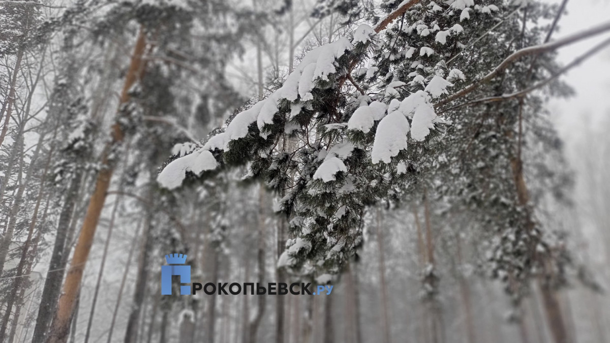 В среду в Прокопьевске тепло и снежно