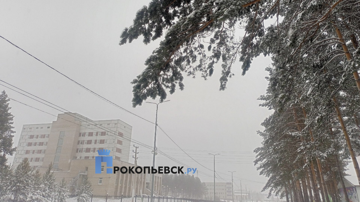 В пятницу в Прокопьевске сохранится снег и метели