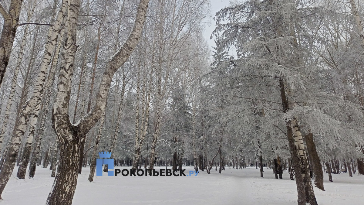 В Прокопьевске будет пасмурно и снежно