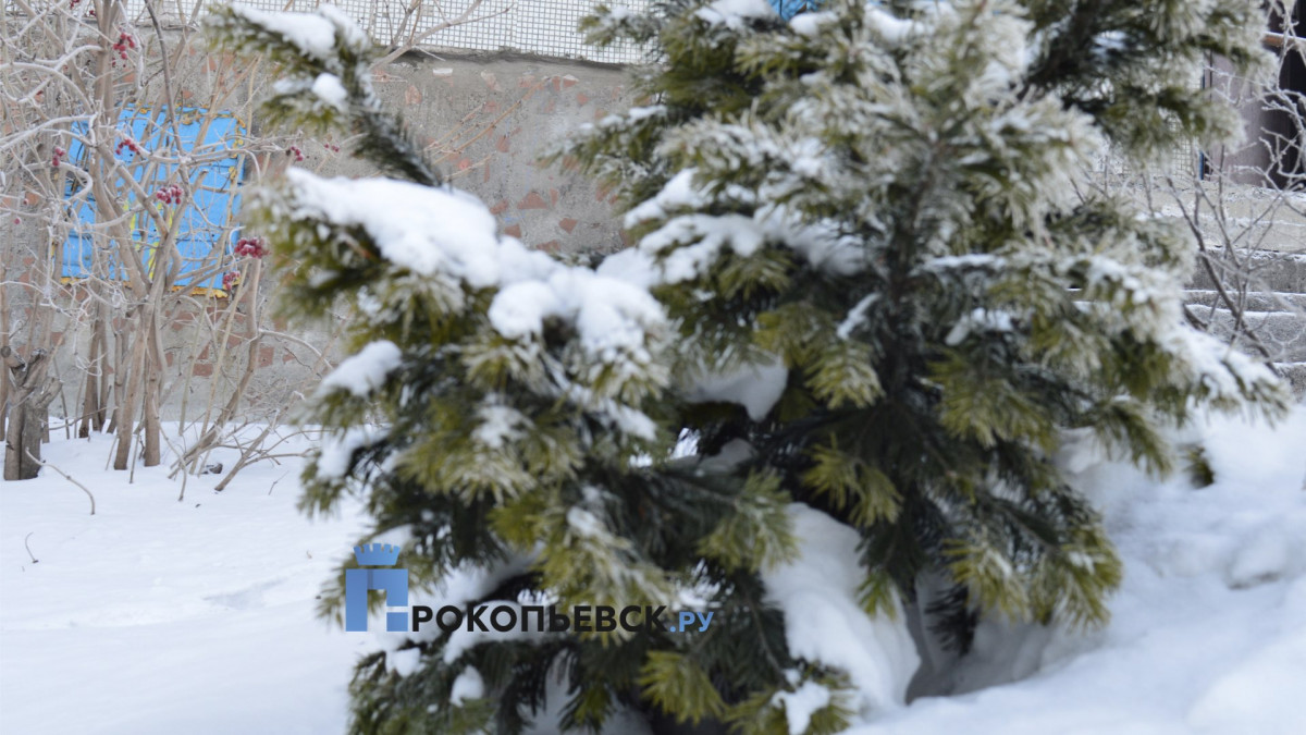 В пятницу в Прокопьевске тепло, возможен снегопад