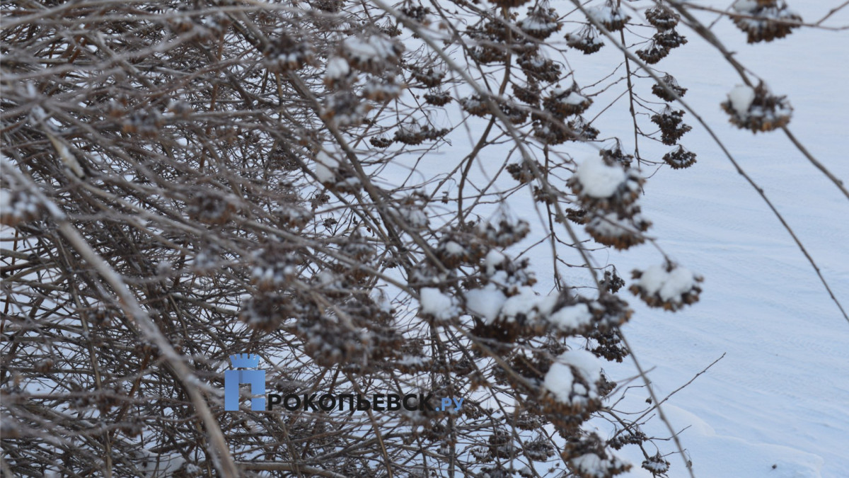 В воскресенье в Прокопьевске возможен снег и метели