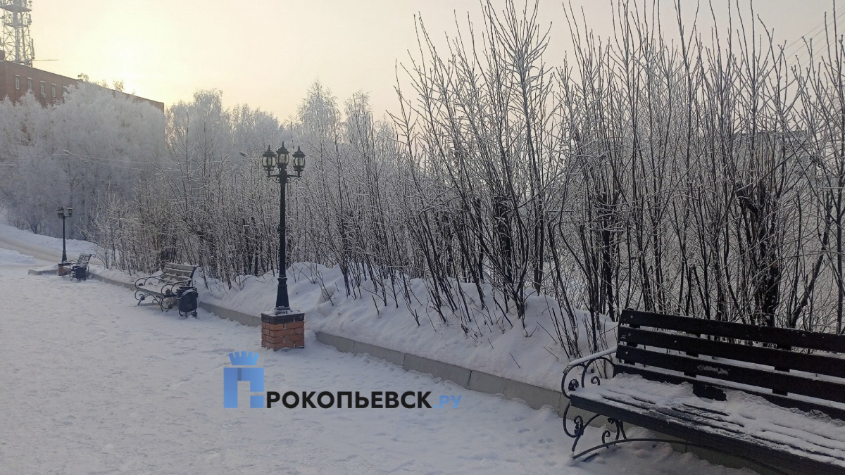 В четверг в Прокопьевске ожидается пасмурная погода и снег