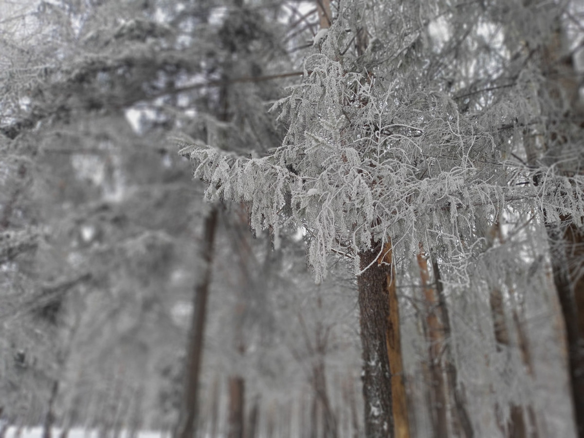 Не расслабляемся: в Кузбасс идут морозы из Якутии
