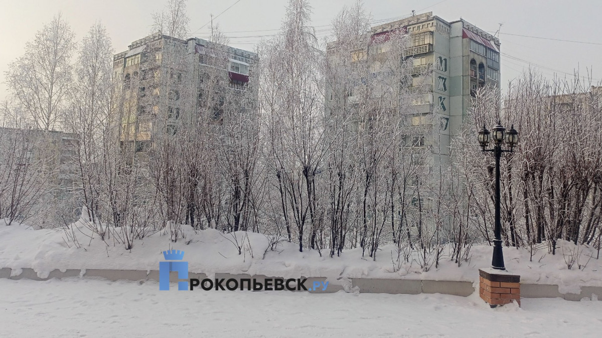 В Прокопьевске ожидается пасмурная погода со снегом и метелями