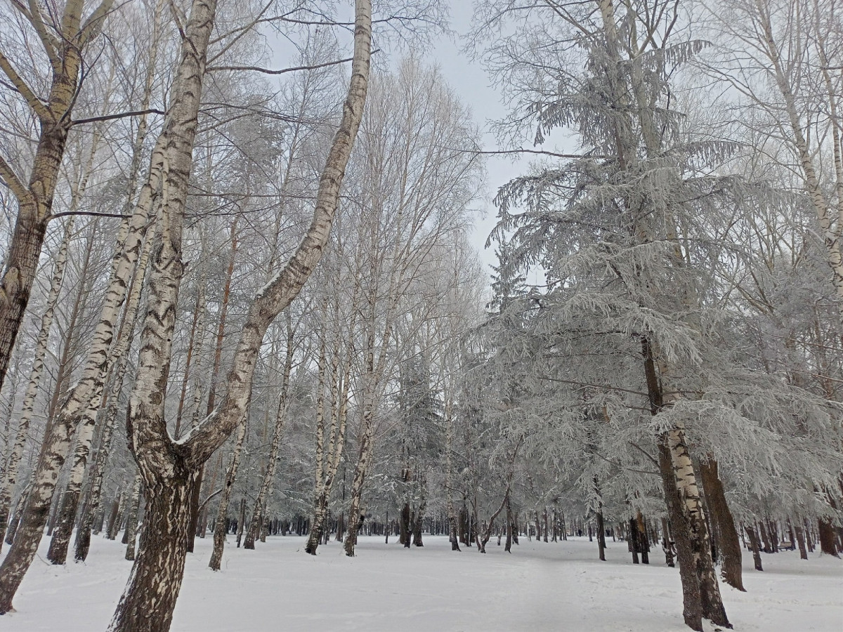 Не расслабляемся: к концу недели в Кузбасс снова придут морозы