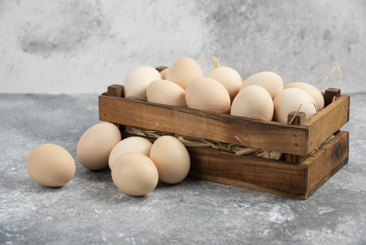 В 2022 году Кузбассе установили исторический рекорд по производству яйца 