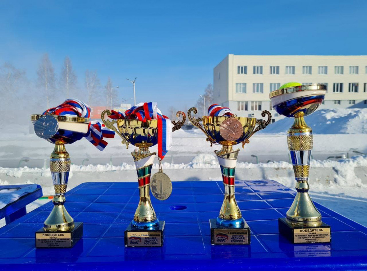 Прокопчан приглашают принять участие в турнире по хоккею с мячом на валенках
