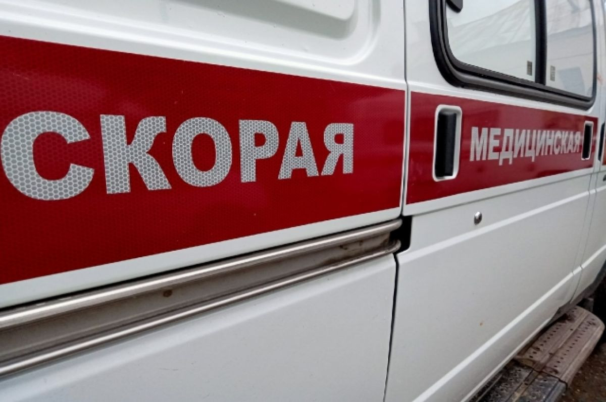 СМИ: в Кузбассе подросток упал с дерева и погиб