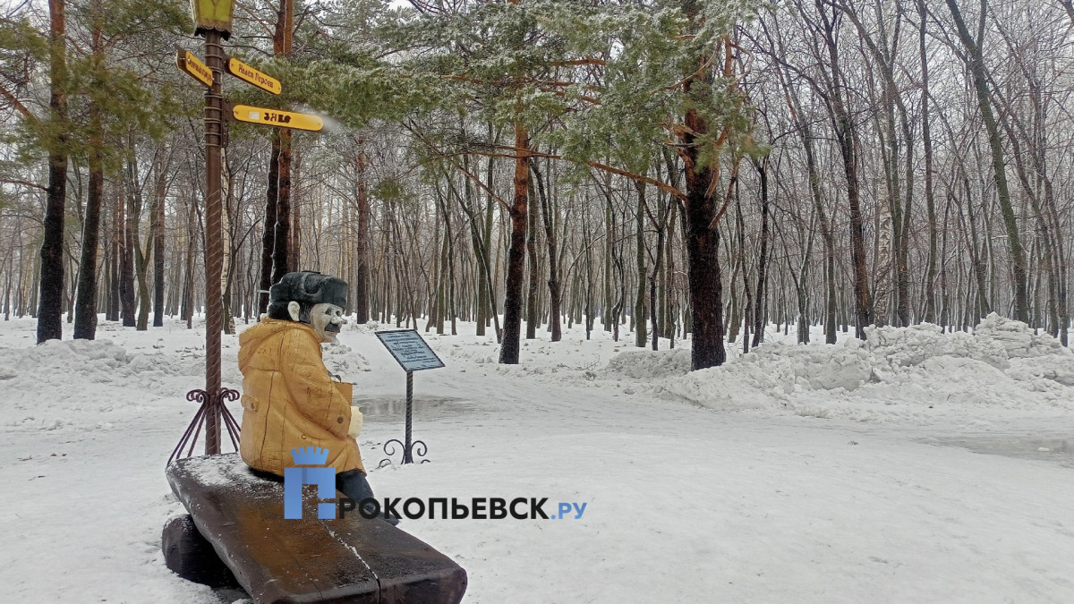 В среду в Прокопьевске будет морозно ночью и солнечно днём