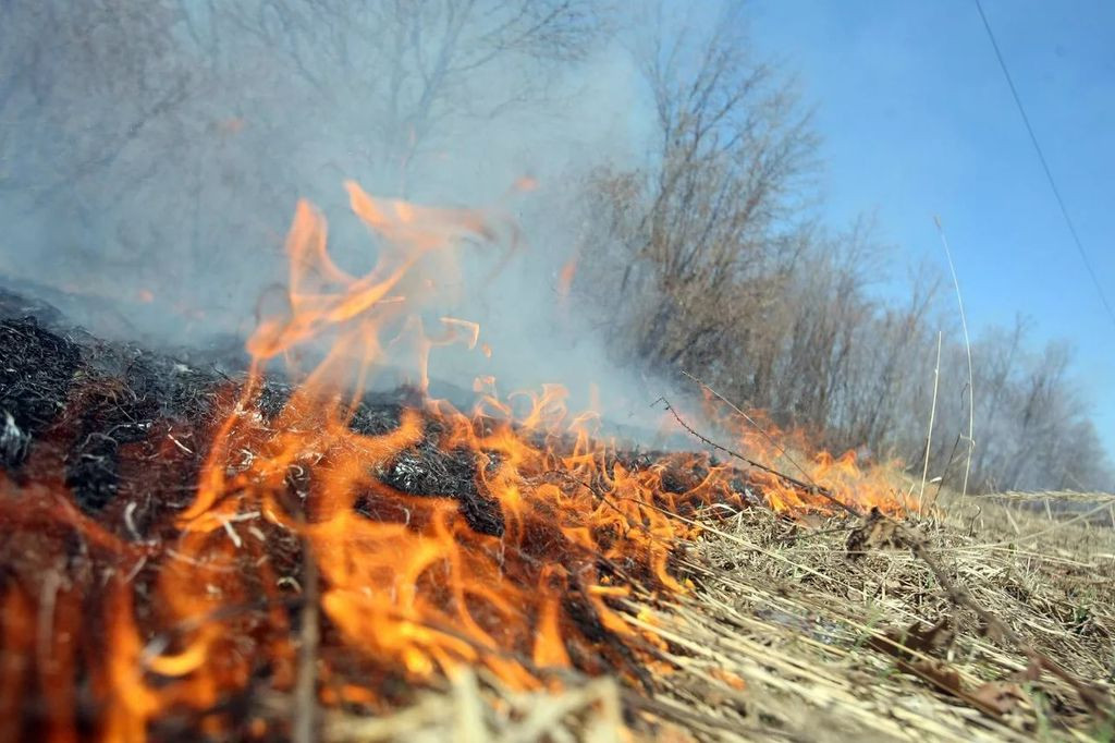 Власти Кузбасса определили период действия особого противопожарного режима