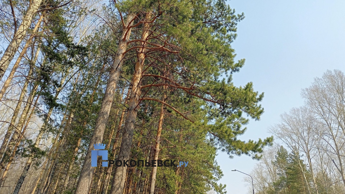 В последний день апреля в Прокопьевск вновь придёт прохлада