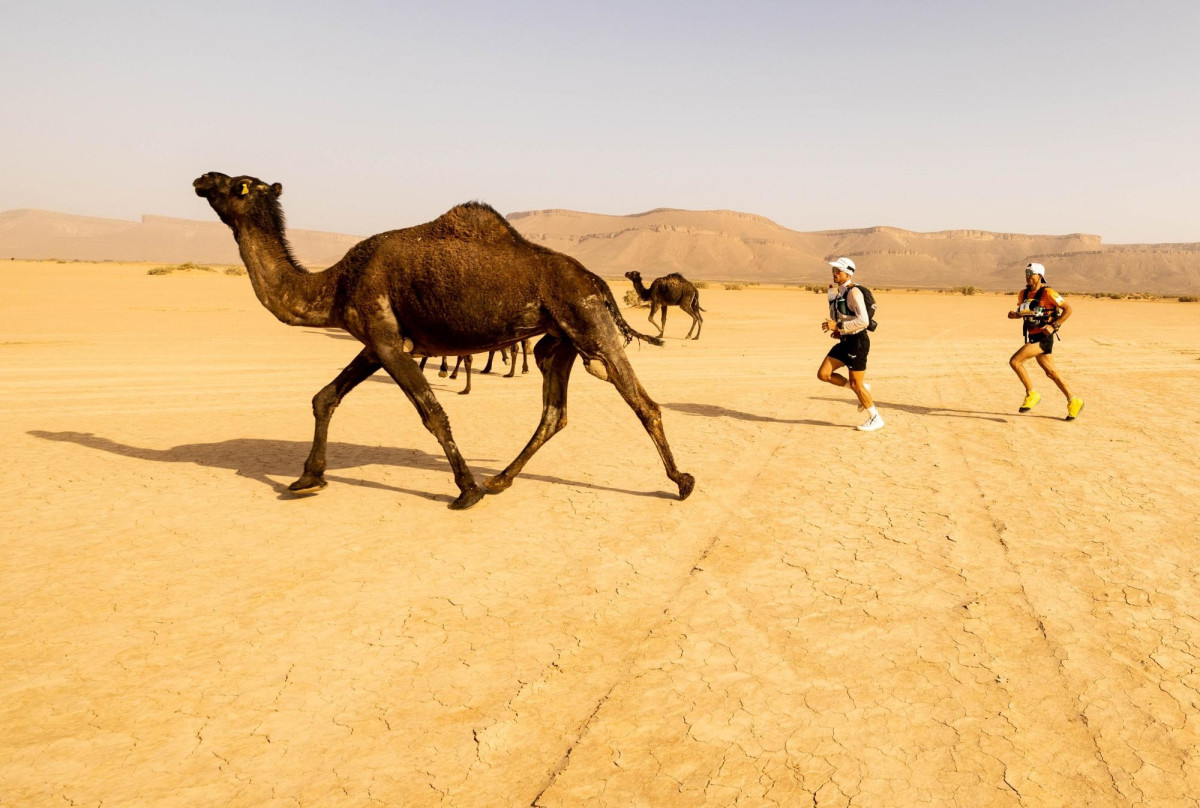 Горнорабочий из Кузбасса стал четверым в марафоне, который прошёл в пустыне Сахара