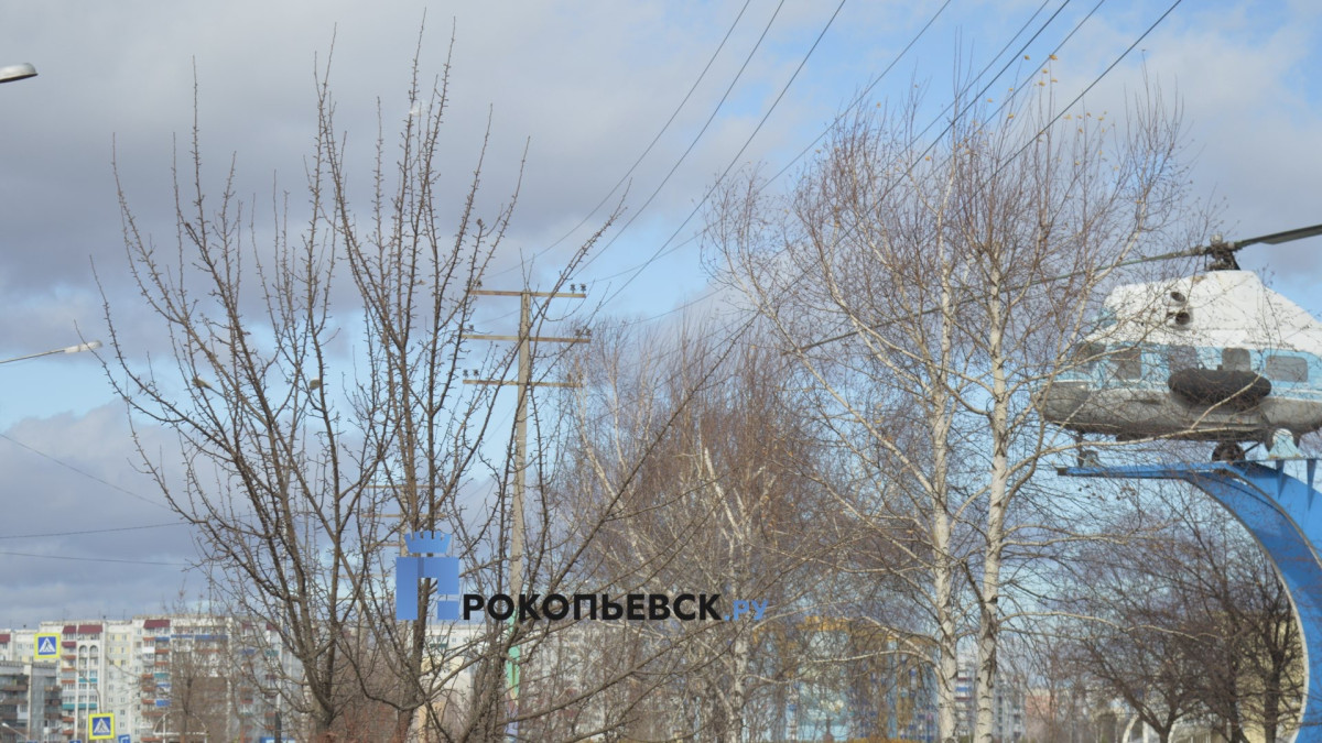 В пятницу в Прокопьевске будет облачно, преимущественно без осадков