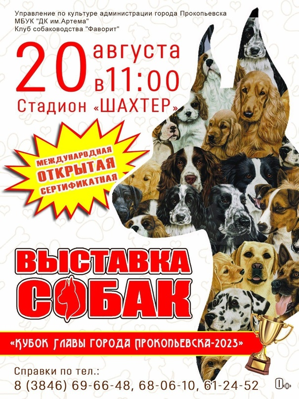 Стала известна дата проведения традиционной выставки собак на кубок главы города