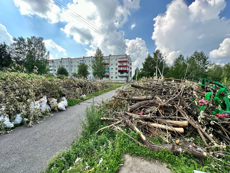 В Прокопьевске с территории лога между 6 и 8 микрорайонами вывезут 25 тысяч тонн мусора