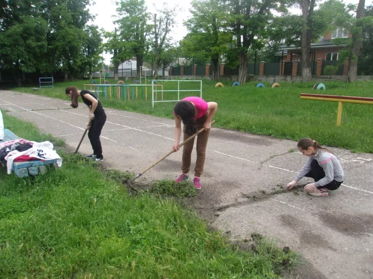 Новый закон заставит школьников трудиться