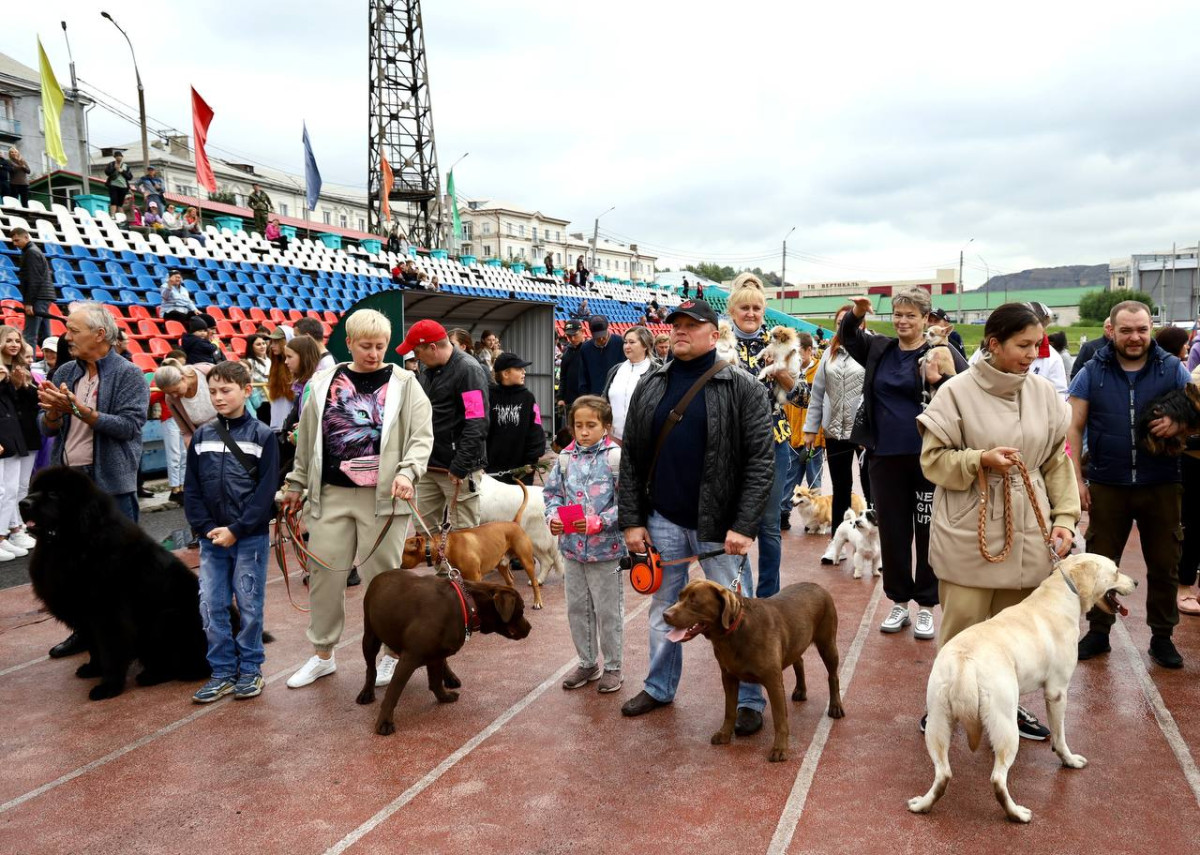 Новокузнечане забрали все главные награды на выставке собак в Прокопьевске