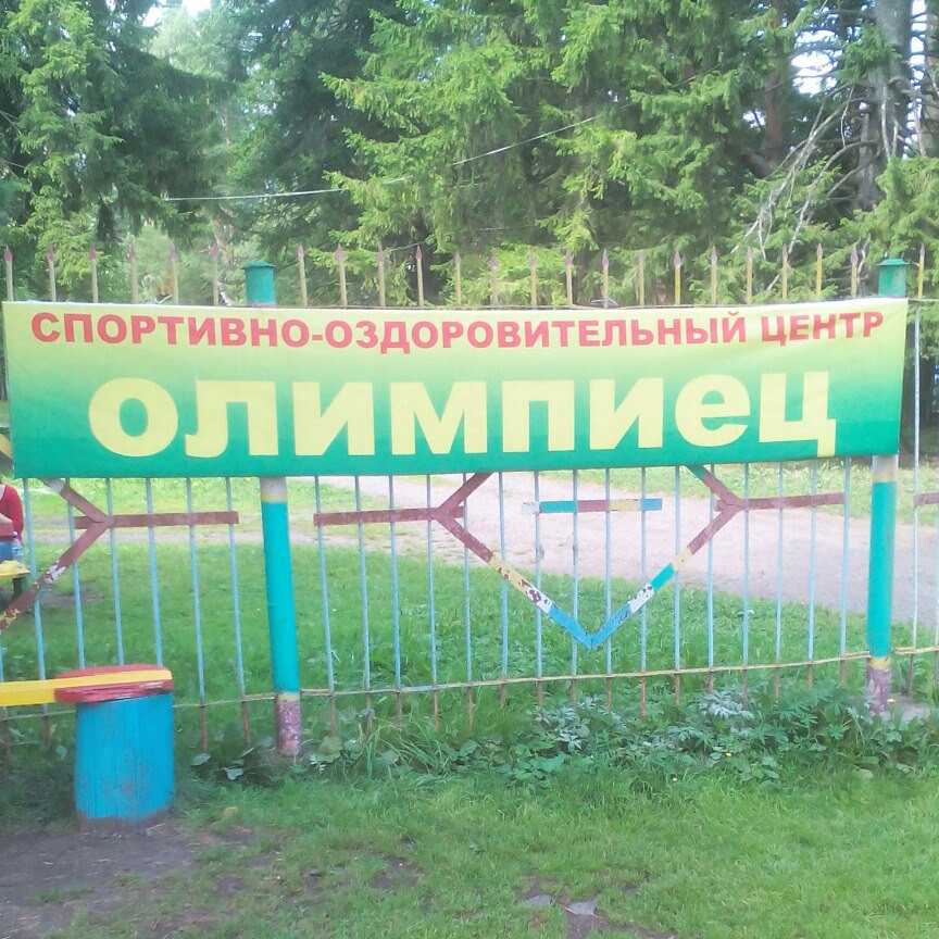 В Кузбассе вернутся к практике подшефных детских лагерей
