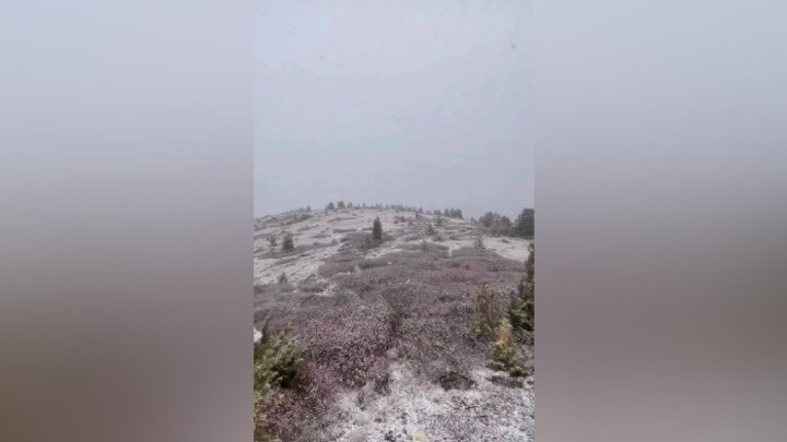 В Кузбассе и в ряде других регионов выпал первый снег
