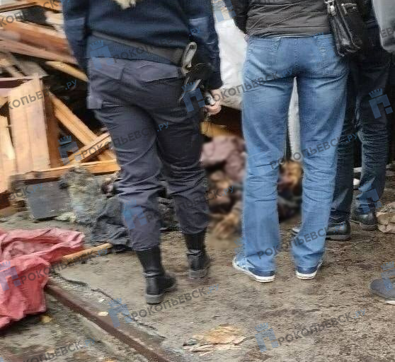В Прокопьевске обнаружили скелет человека в подвале многоквартирного дома