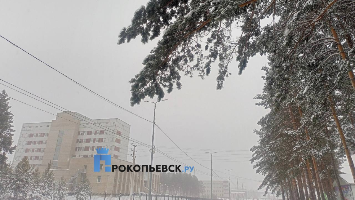 Предстоящий декабрь в Кузбассе будет холоднее, а январь и февраль теплее нормы