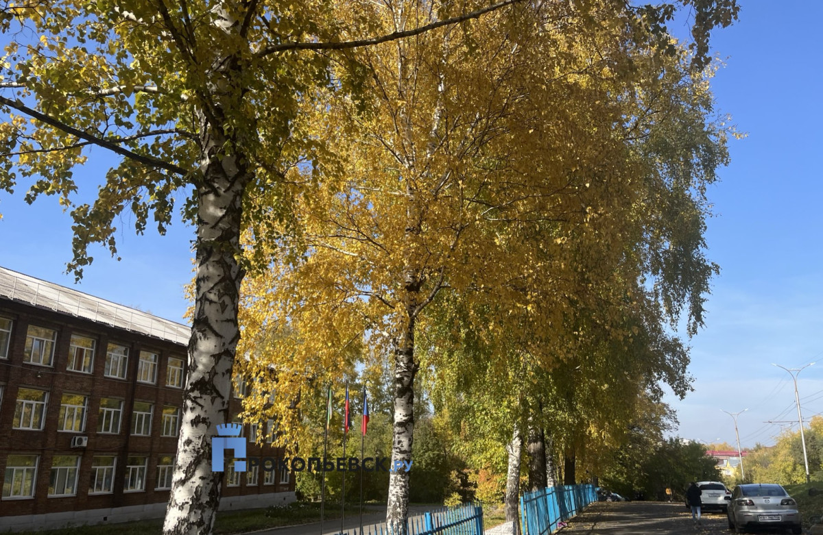 Несвойственная для октября жара накроет Прокопьевск в субботу
